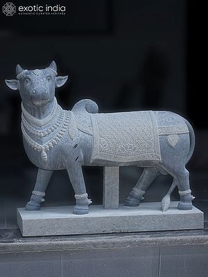 43" Large Standing Nandi - The Vahana Of Shiva | Granite Stone Statue