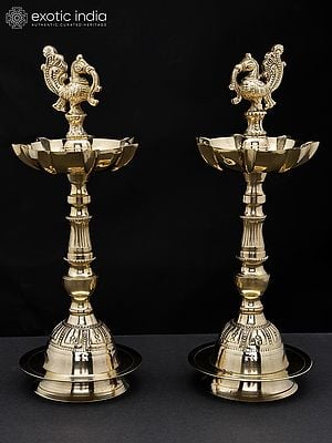 11" Brass Pair of Seven Wicks Peacock Lamps