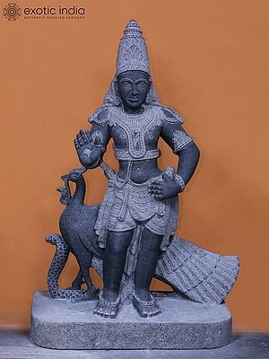 34" Standing Lord Murugan in Blessing Mudra with Peacock | Granite Carved Stone Statue