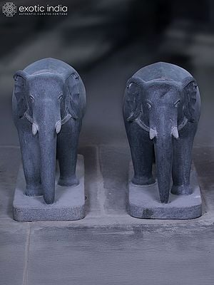 22" Pair Of Elephant Idol |  Stone Carved | Granite Stone Statue