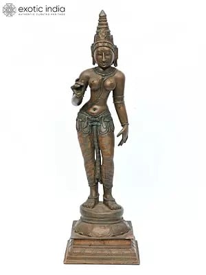 25" Standing Goddess Parvati (Devi Uma)