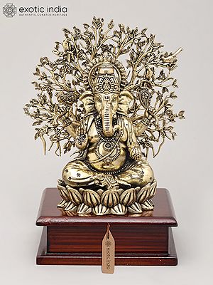 8" Superfine Lord Ganesha Seated Beneath The Sacred Tree with Wood Base | Brass Statue