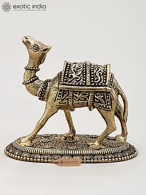 Superfine The Royal Camel Standing on Base | Brass Statue | Made in India