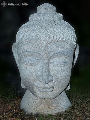 36" Large Sized Lord Buddha Head | Hand Carved | Granite Stone Statue