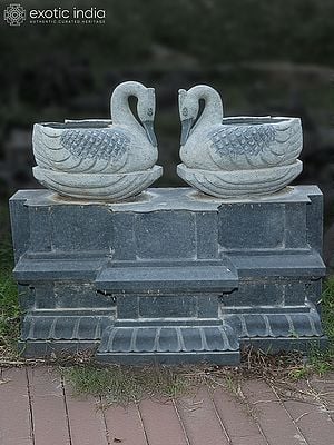 20" Beautiful Pair Of Swans In Stone | Hand Carved | Granite Stone Statue