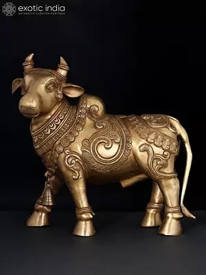 15" Brass Nandi - Vahana of Lord Shiva | Brass Statue