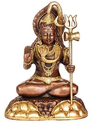 10" Blessing Lord Shiva In Brass | Handmade | Made In India
