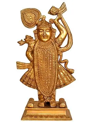 Shrinathji (Lord Krishna)