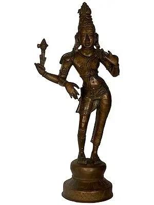 The Tall And Slender Ardhanarishvara
