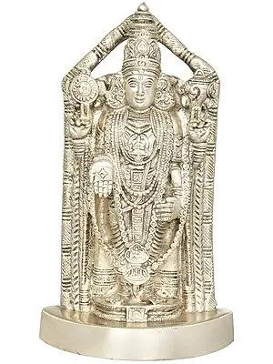 8" Lord Venkateshvara as Balaji at Tirupati In Brass | Handmade | Made In India
