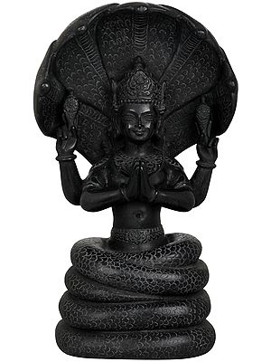 Sage Patanjali, A Great Grammarian and Exponent of the System of Yoga