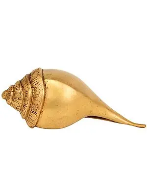 2" Auspicious Conch In Brass | Handmade | Made In India