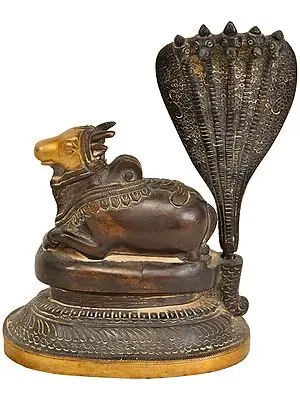5" The Coiled Energy of Kundalini in Brass | Handmade | Made in India