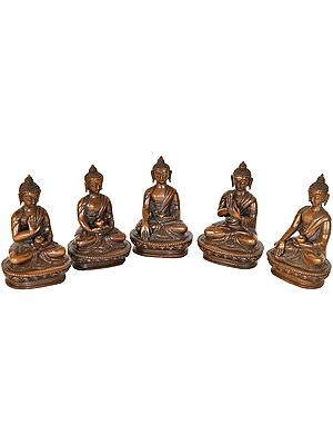 Tibetan Buddhist Five Dhyani Buddhas (Made in Nepal)