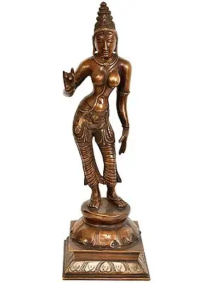 11" Goddess Uma Shivakasundari Brass Idol | Handmade