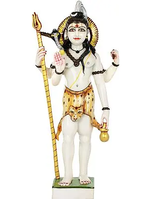 Blessed By The Yogic Roopa Of Lord Mahadeva