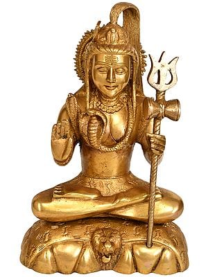 9" Shiva Seated on Lion Skin In Brass | Handmade | Made In India