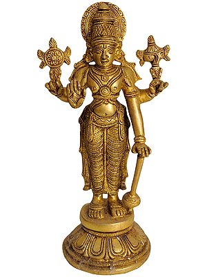 Lord Vishnu -  The Sustainer of Universe