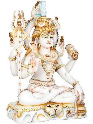 Blessing Lord Shiva