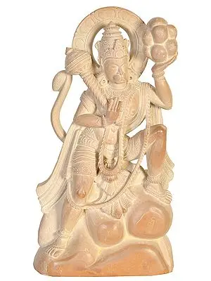 Lord Hanuman Carrying Mount of Sanjivani Herbs