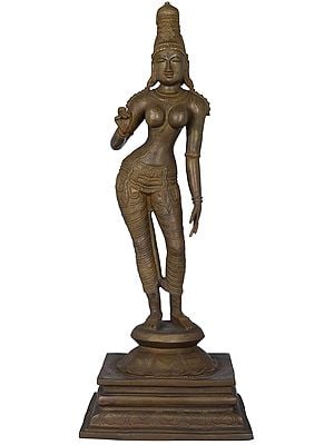 23" Standing Uma In Brass | Handmade | Made In India