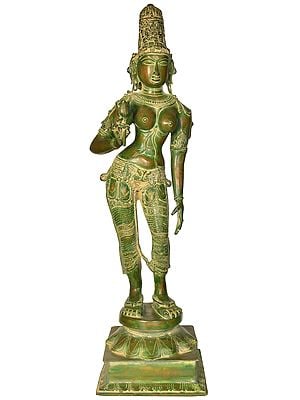 29" Standing Goddess Parvati (Large Size) In Brass | Handmade | Made In India