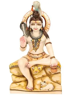 Poorna Shiva, or Shiva the Absolute