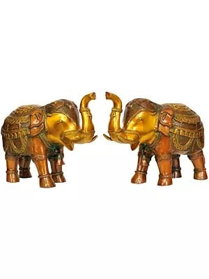 Temple Elephant Pair with Bells and Upraised Trunks (Supremely Auspicious According to Vastu)