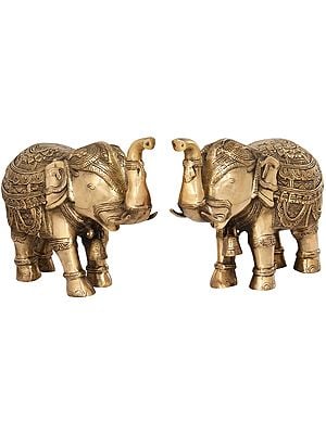 Temple Elephant Pair with Bells and Upraised Trunks (Supremely Auspicious According to Vastu)