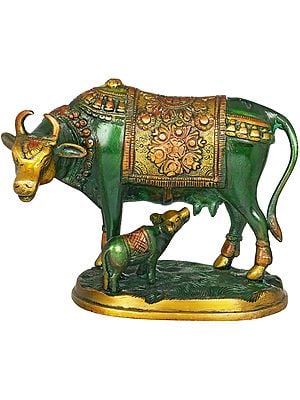 Cow and Calf – 最もSacred動物のインド 