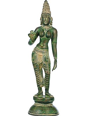 17" Goddess Parvati Shivakamasundari In Brass | Handmade | Made In India