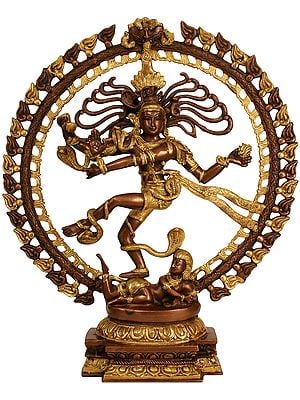 20" Nataraja in Brown and Golden Hues In Brass | Handmade | Made In India