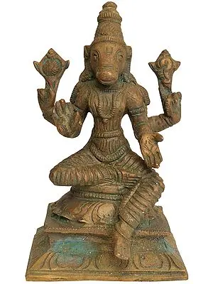 Goddess Varahi