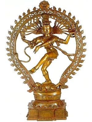 54" Large Nataraja In Brass | Handmade | Made In India