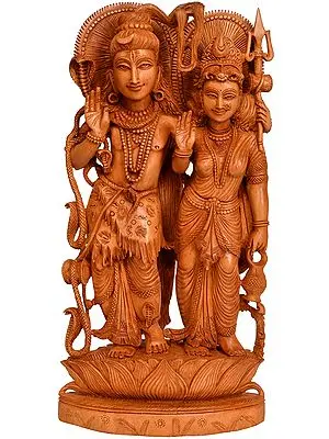 Shiva Parvati