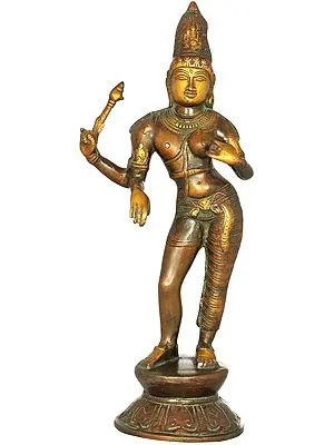 Ardhanarishvara (Unity of Shiva-Shakti)