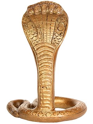 Shesha Naga - The King of Serpents