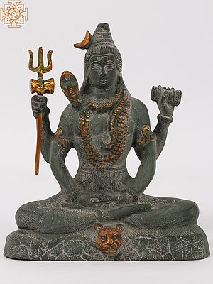 Lord Shiva in Dhyana