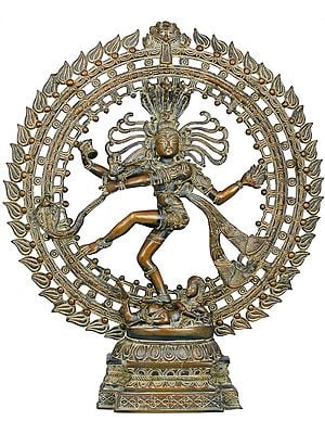 22" Lord Shiva as Nataraja In Brass | Handcrafted In India
