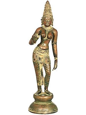 17" Devi Uma Shivakamasundari In Brass | Handmade | Made In India