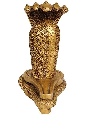 Amarnath Linga