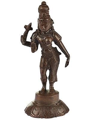 6" Ardhanarishvara Statue (Shiva Shakti) In Brass | Handmade | Made In India