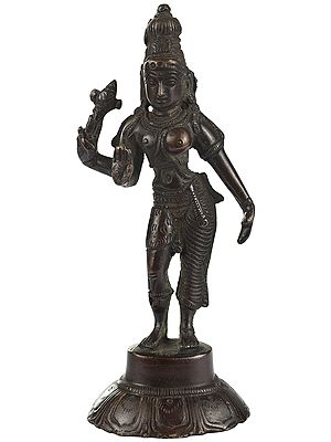 6" Ardhanarishvara Statue (Shiva Shakti) In Brass | Handmade | Made In India