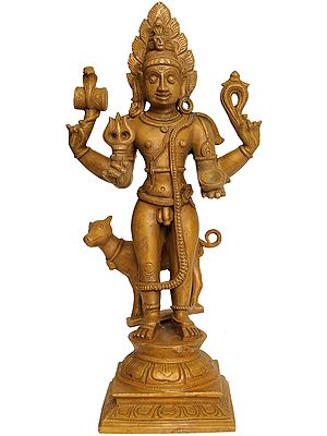 Lord Bhairava