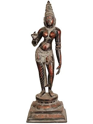 23" Large Size Devi Parvati Shivakamasundari In Brass | Handmade | Made In India