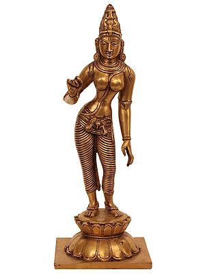 11" Goddess Uma Parvati Shivakamasundari Idol | Handmade Brass Statue
