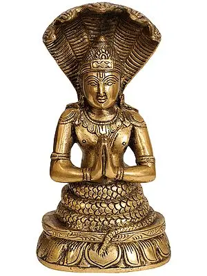 8" Patanjali In Brass | Handmade | Made In India