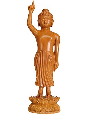 Worlds Above and Worlds Below, There's No One Like Me (Buddha's Birth)