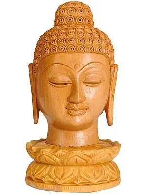 Lord Buddha's Head