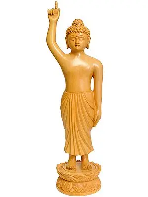 Gautam Buddha (With Lotus Springing Under His Feet at Time of His Birth)